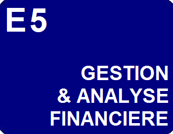 E5 : Situation de contrôle de gestion et d’analyse financière