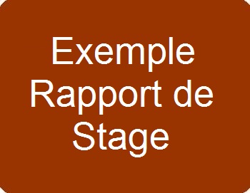 Exemple de rapport de stage E6