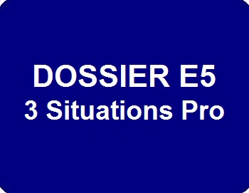 Dossier E5 : 3 Situations professionnelles