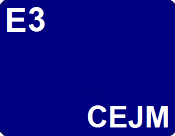 E3 : CEJM (Culture Économique, Juridique et Managériale)